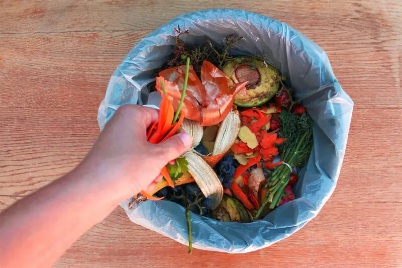  Think Before Wasting Food  – Let’s Stop Food Wastage!